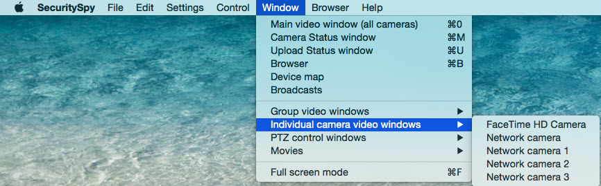 Individual Camera Video Windows